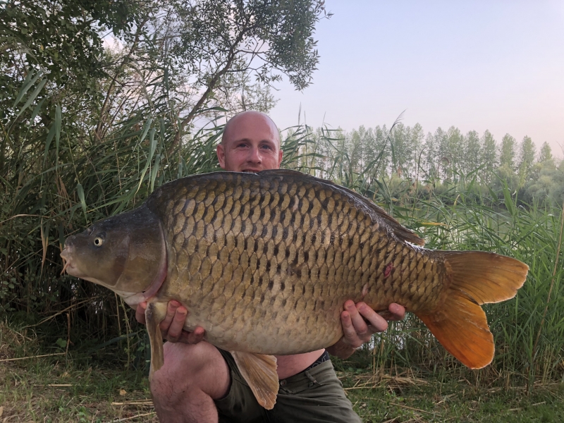 Michael Atherton 34lb common