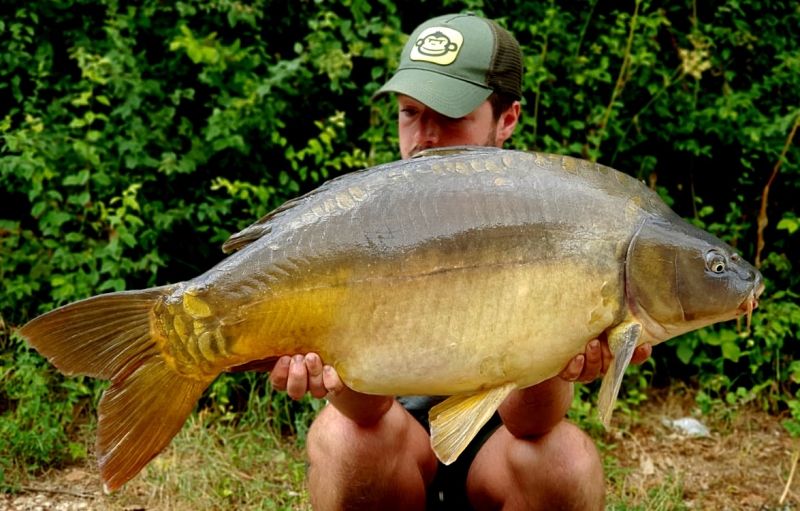 Ryan 40lb