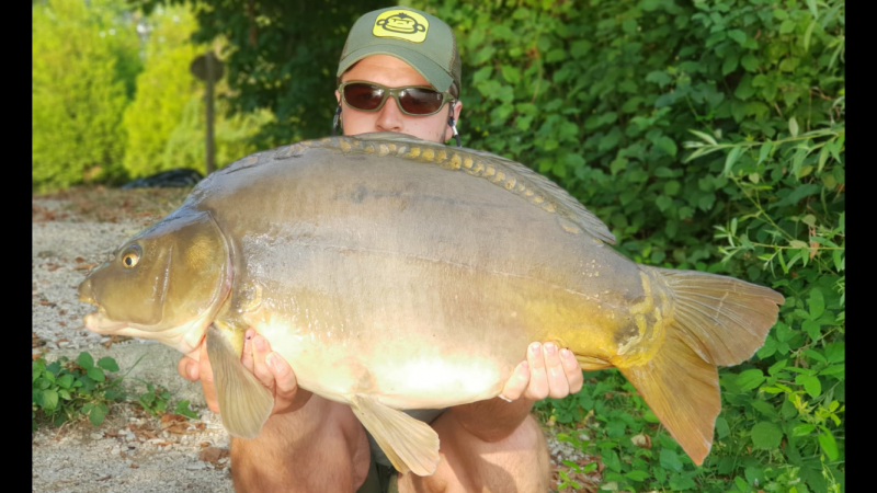 Ryan 45lb