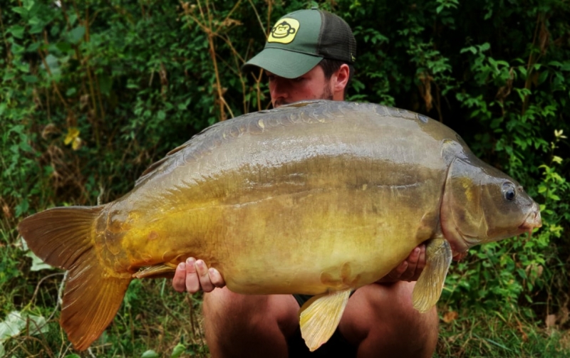 Ryan 46lb