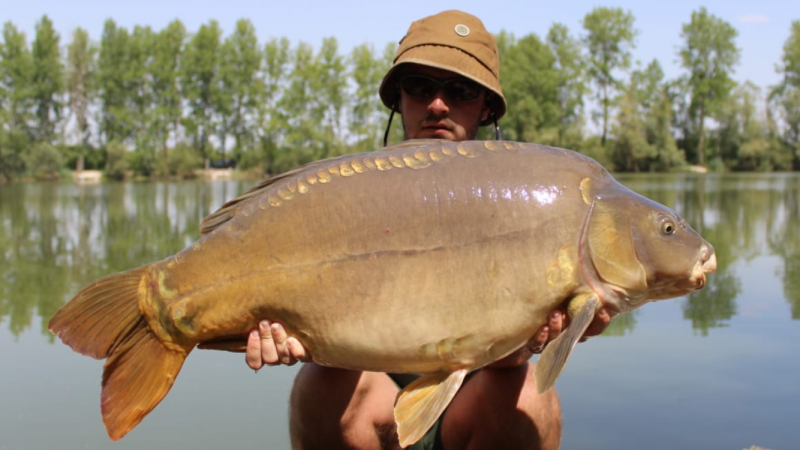 Ryan Taylor 43lb mirror