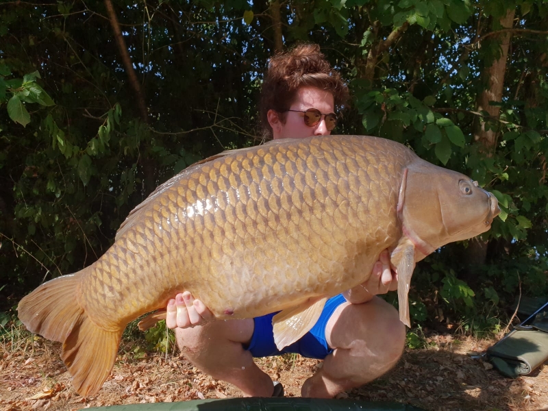 Sam Meredith 50lb common