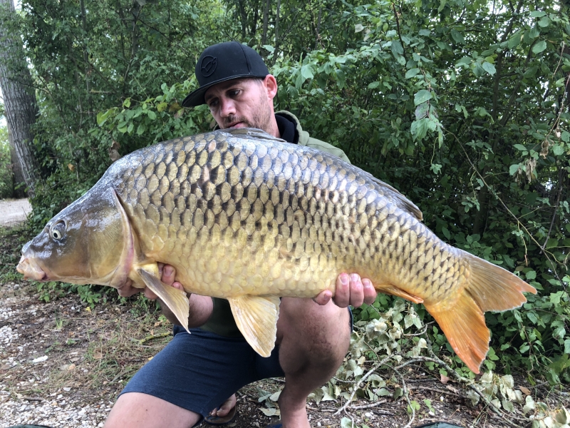 Dave Watson 36lb common