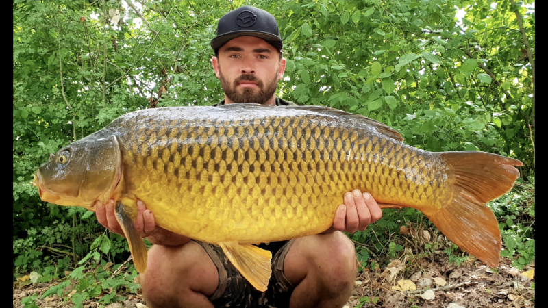 Dean Robinson 38lb common