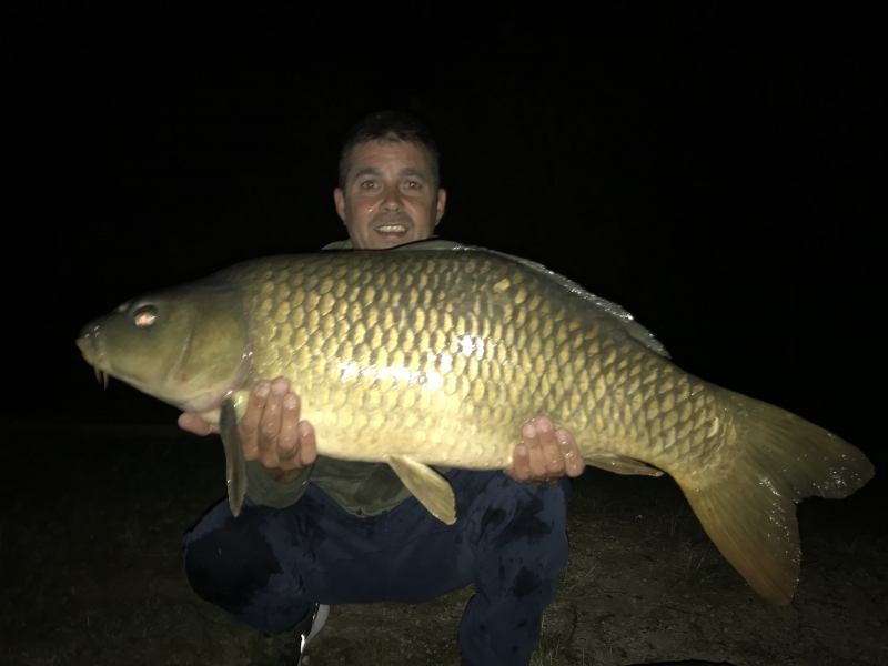 Steve Rochester 31lb common