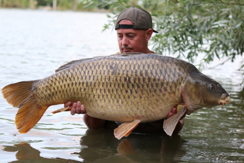 Jason Bell 52lb common