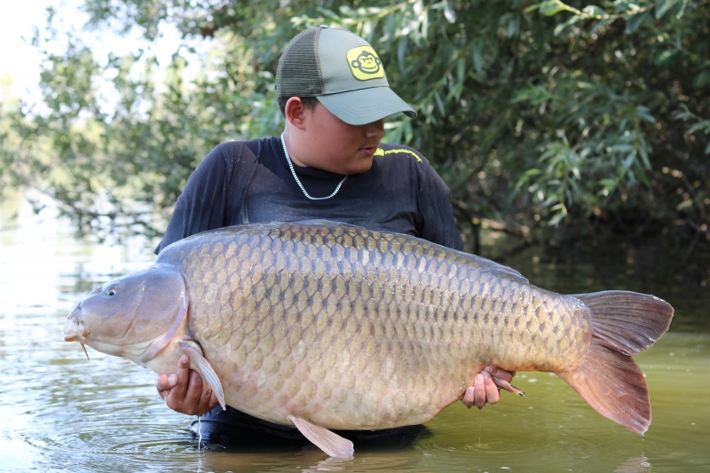 Joe Watson 49lb common