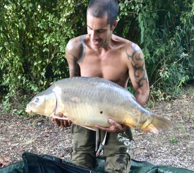 Nathan Bull 43lb common