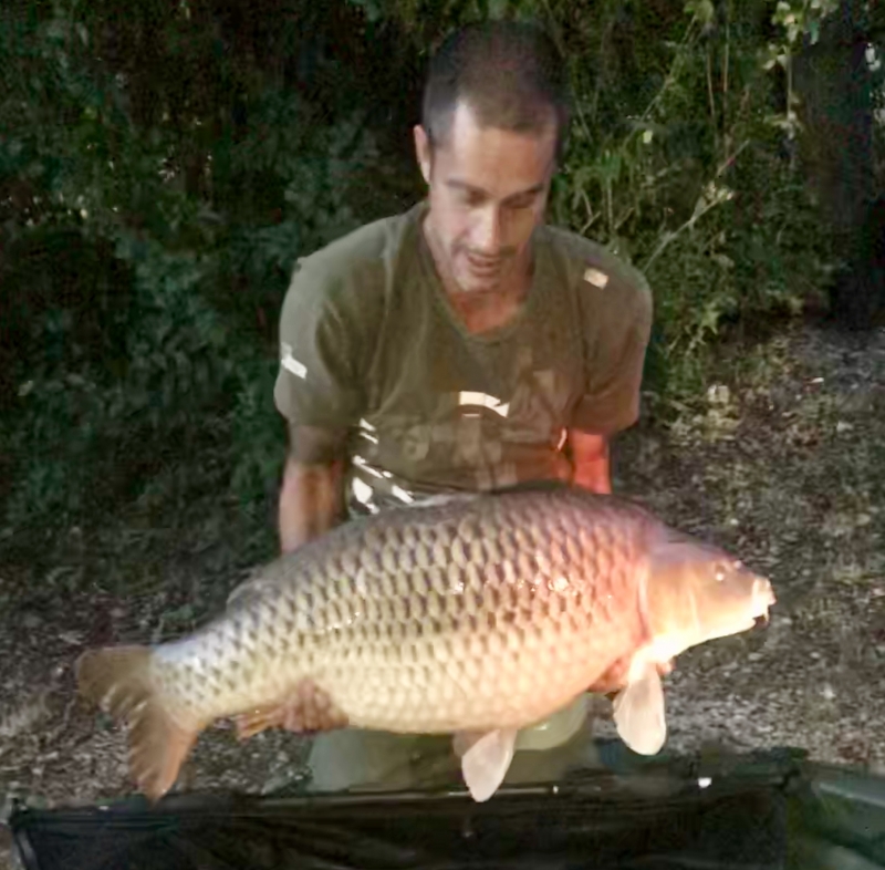 Nathan Bull 49lb common