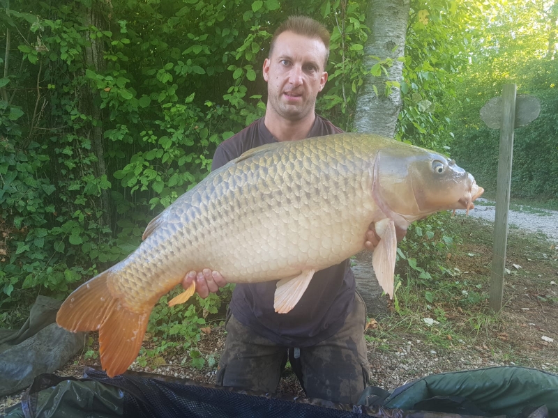 Brett Mathews 41lb common