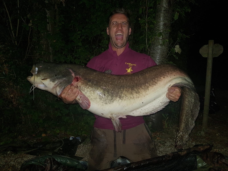 Brett Matthews 86lb cat