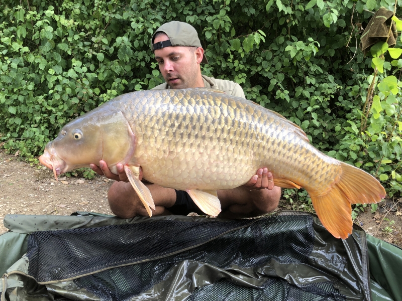 David Digby 41lb common 