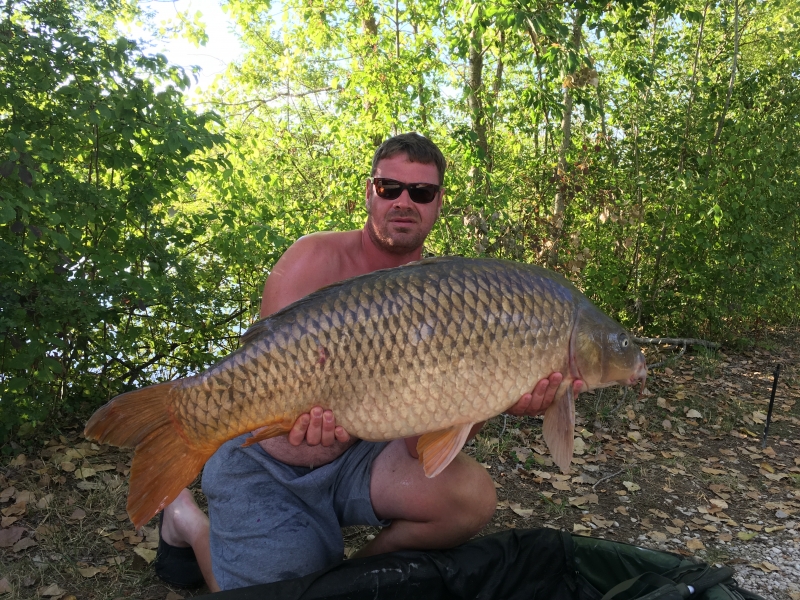 Mark Wright 45lb common