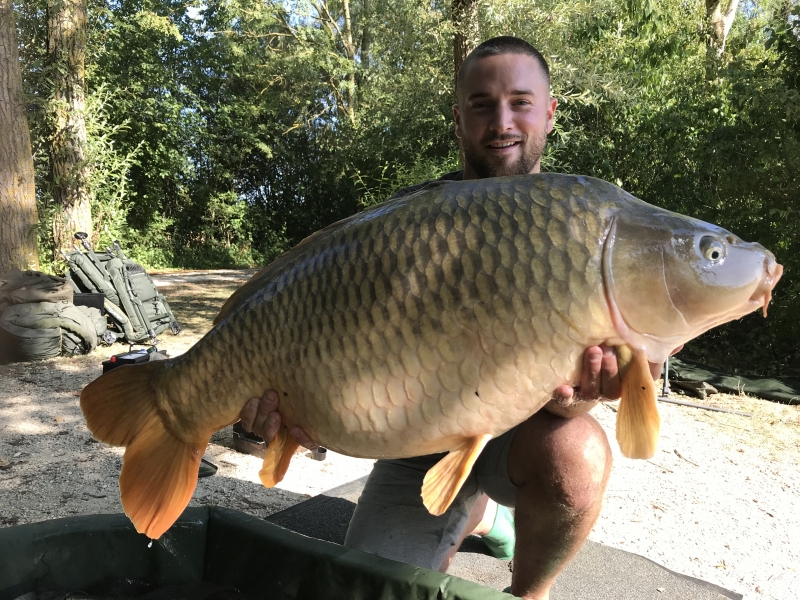 Craig Bryder 40lb common