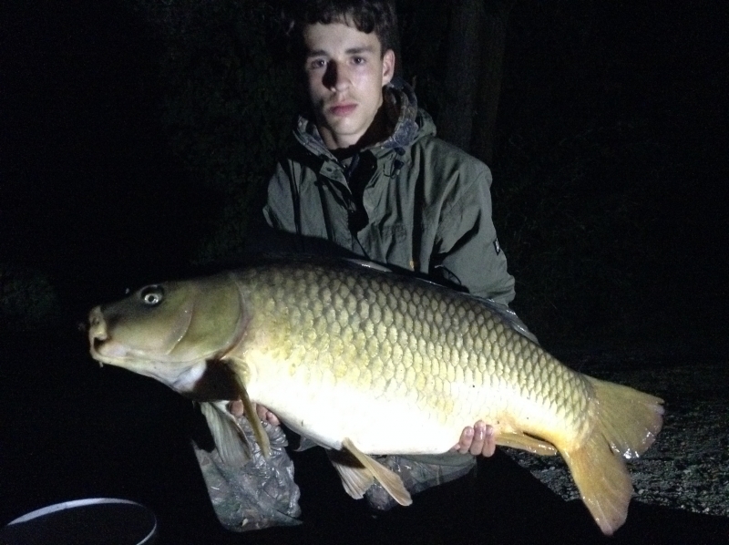 Dane Mowell 44lb