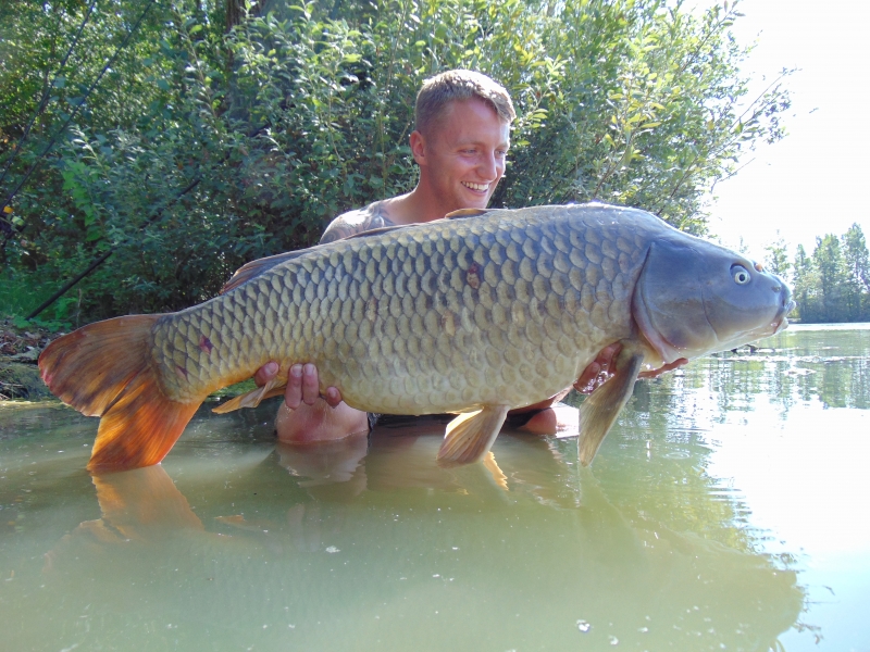 Josh Brame 35lb common