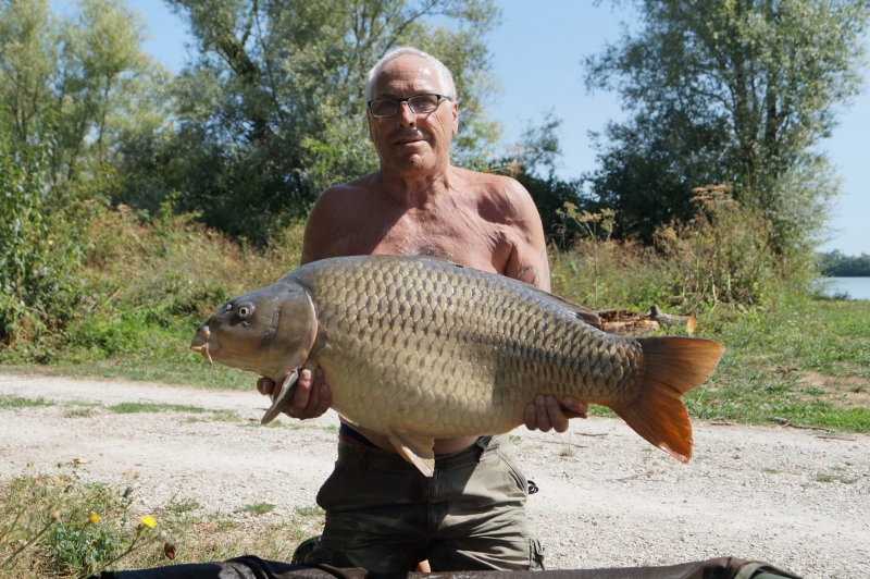 Basil Bashaway 41lb common