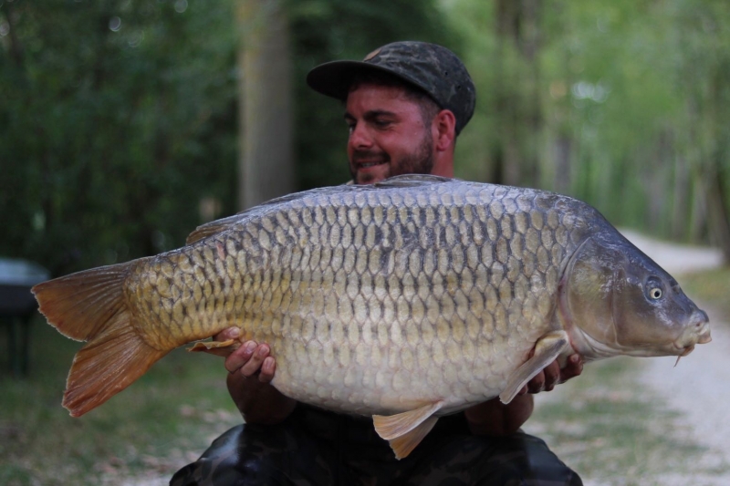 Ashley Caswell 46lb 4oz common