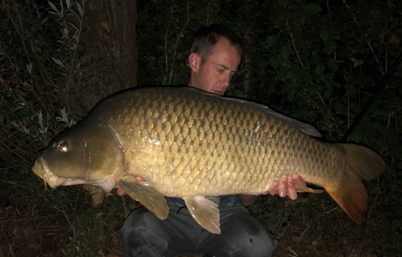 Weeman Martin 40lb 80z