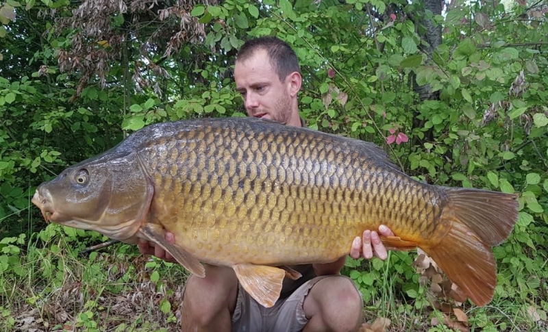 Weeman Martin 42lb