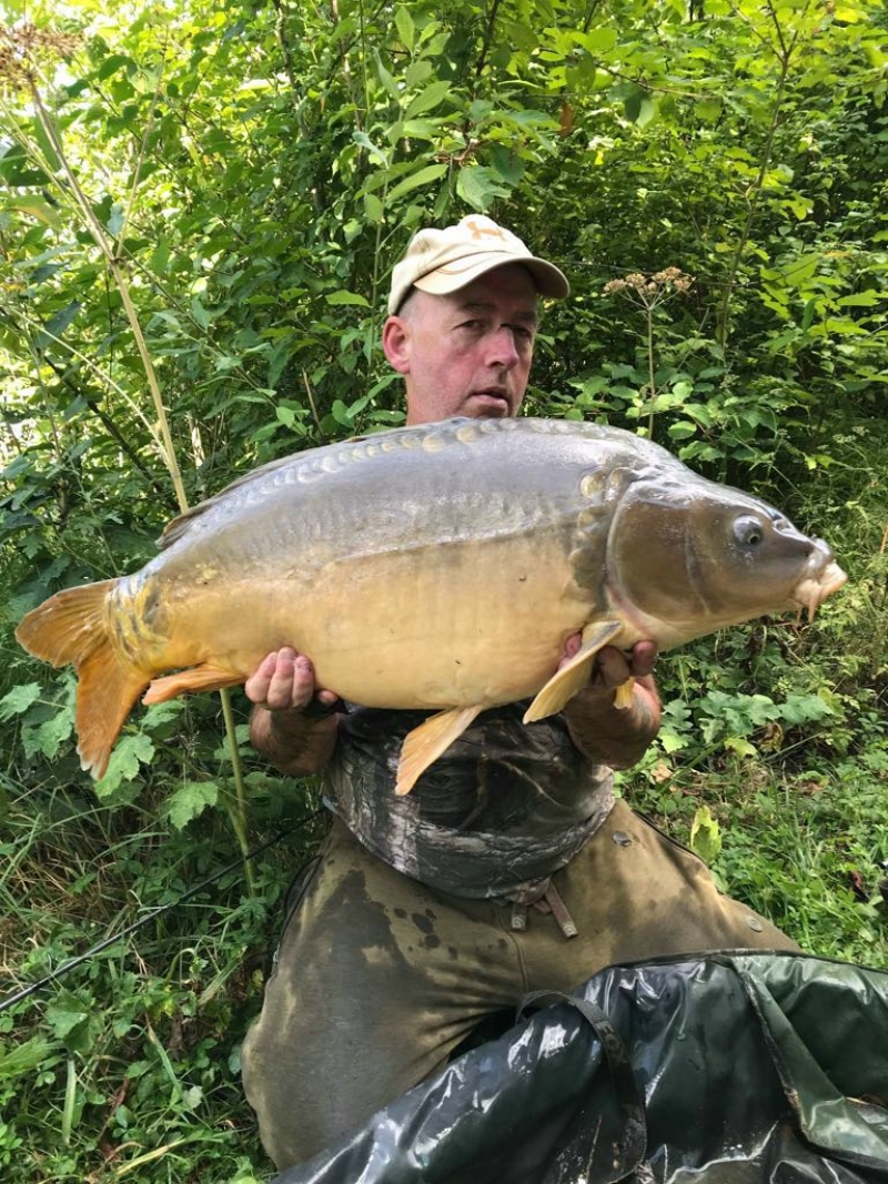 Andrew 38lb