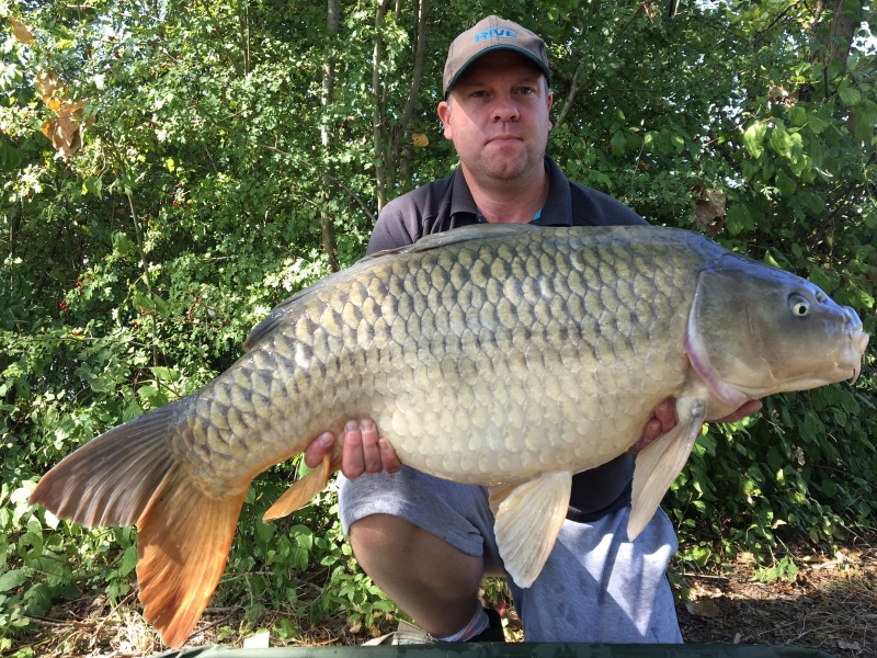 Graham Fox 37lb 