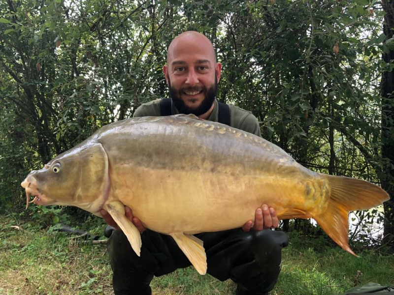 Adam Tree 40lb