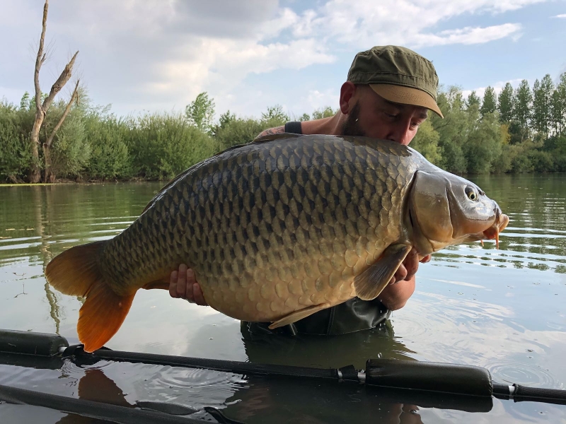 Adam Tree 51lb 6oz