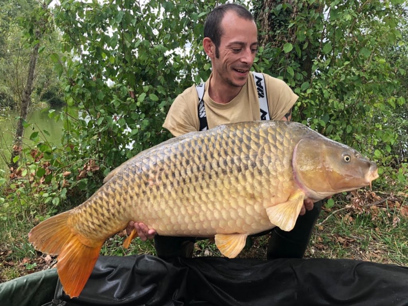 Dazza 43lb10oz