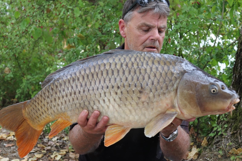 Andrew Walker 31lb