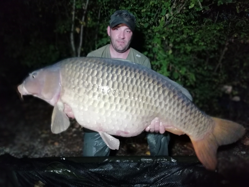 Pete Ingham 61lb Common