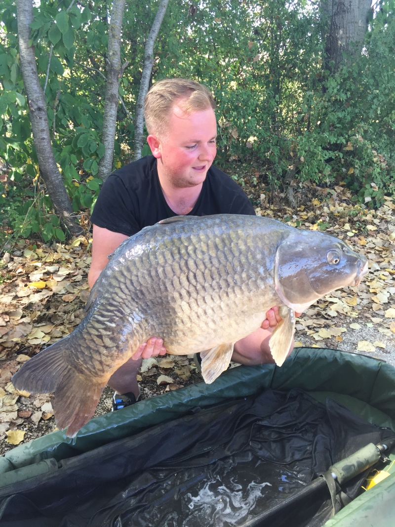 Jack 41lb