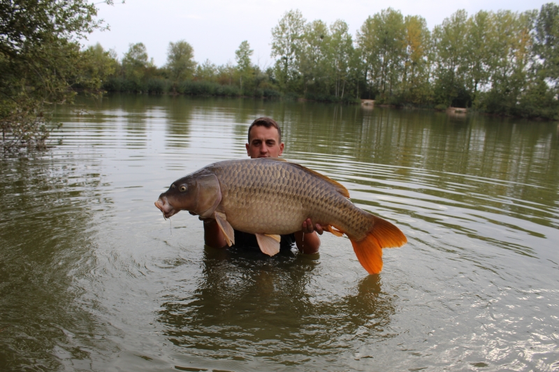 Jack Howden 46lb common