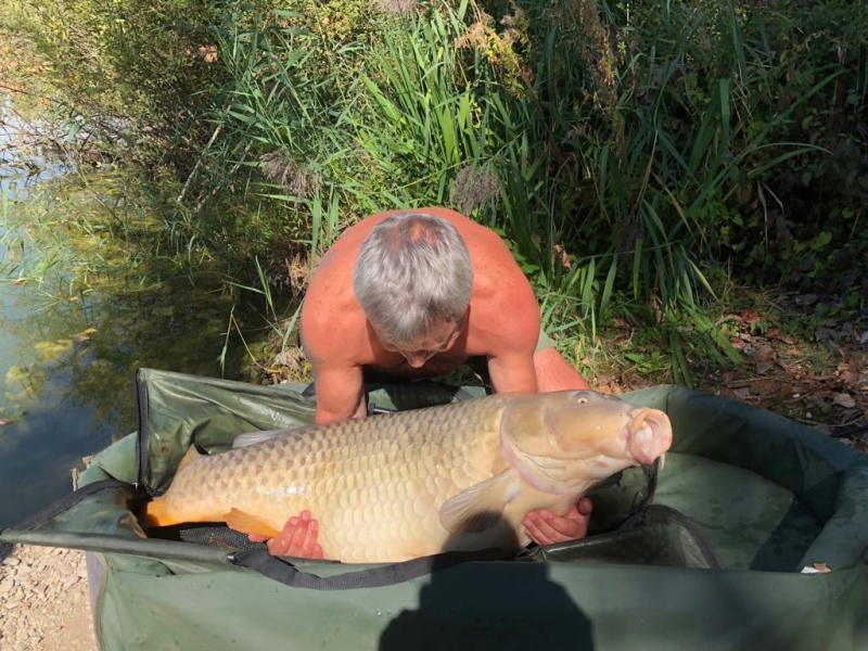 Terry Whitehead 60lb