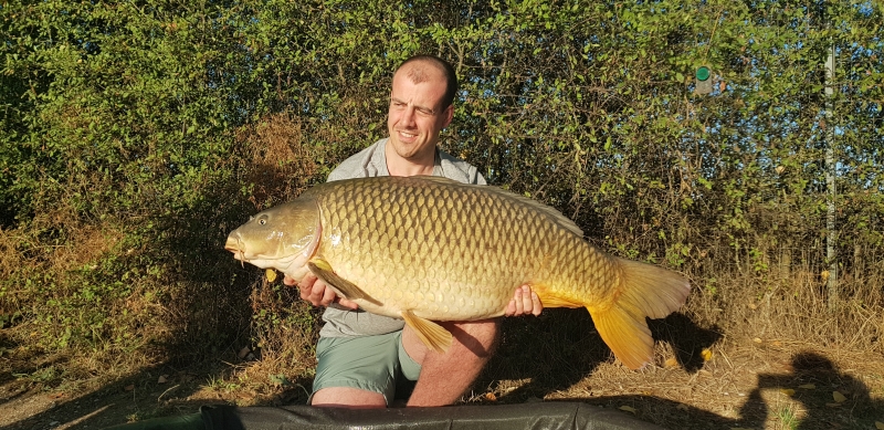 Sam Pickett 55lb