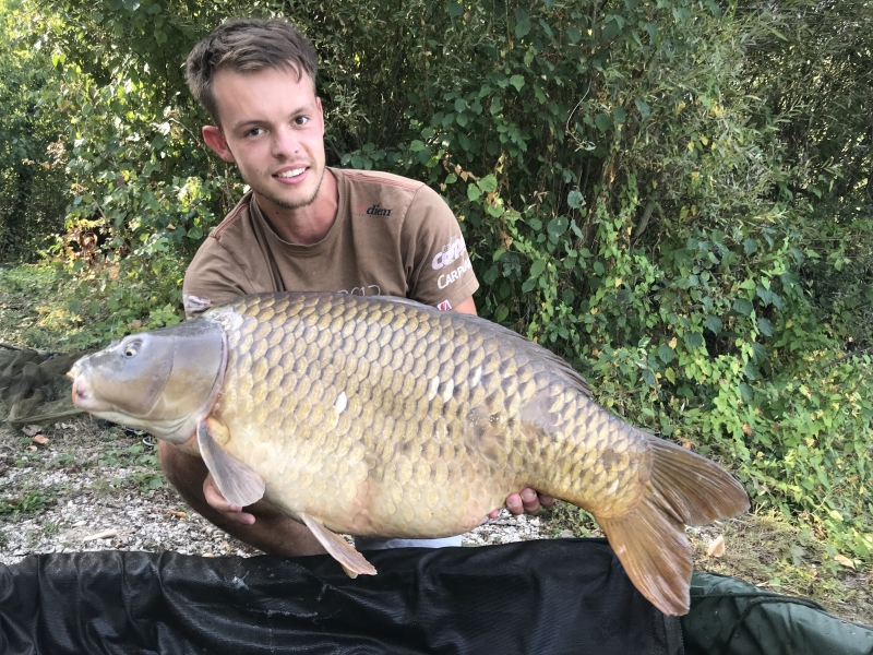 Jamie 41lb common