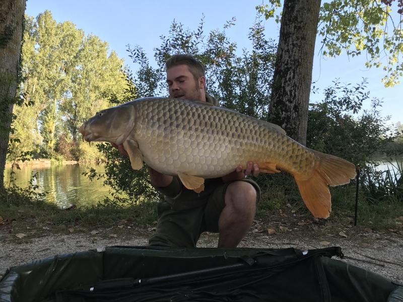 Sean 44lb