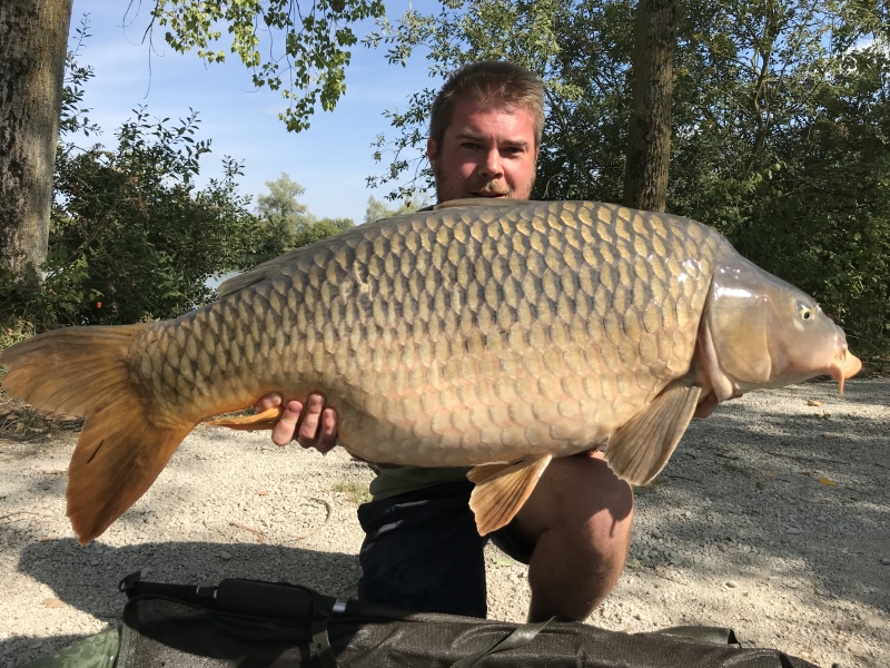 Sean 55lb