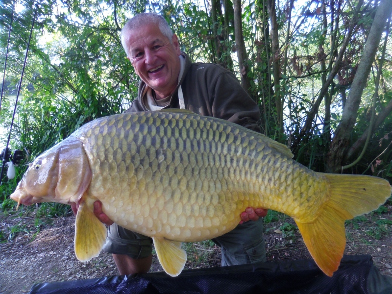 Swiss Tony 46lb