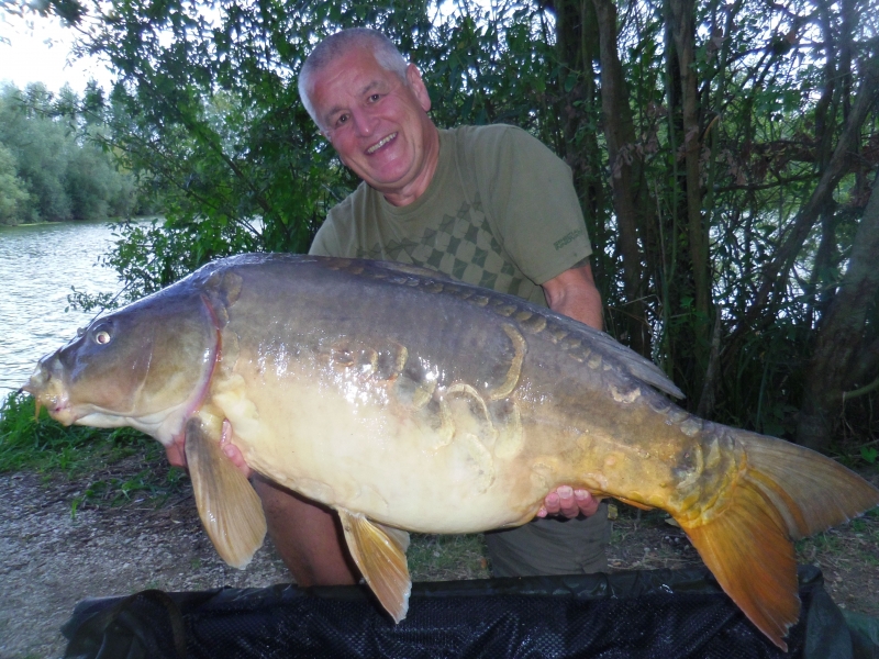 Swiss Tony 49lb