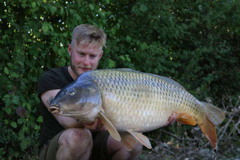 Brett Turtle 34lb common