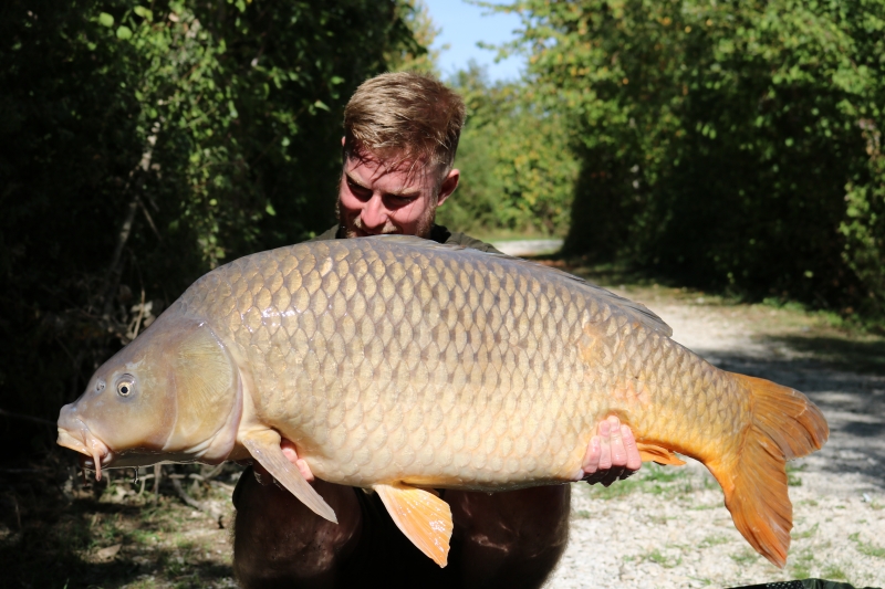 Brett Turtle 44lb common