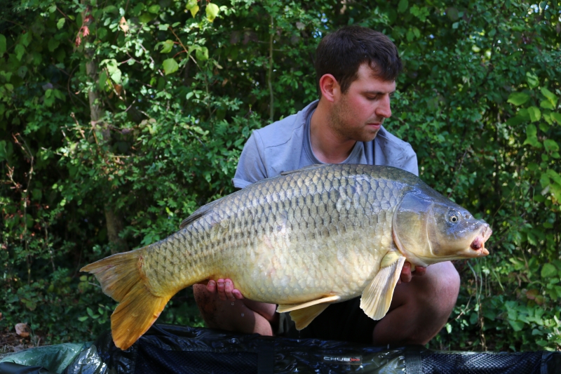 Ross lennon 36lb common