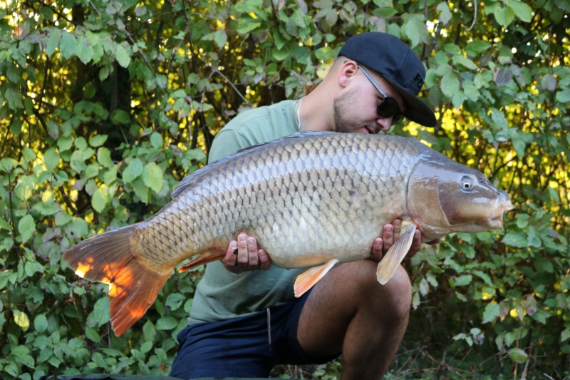 Tom 34lb common