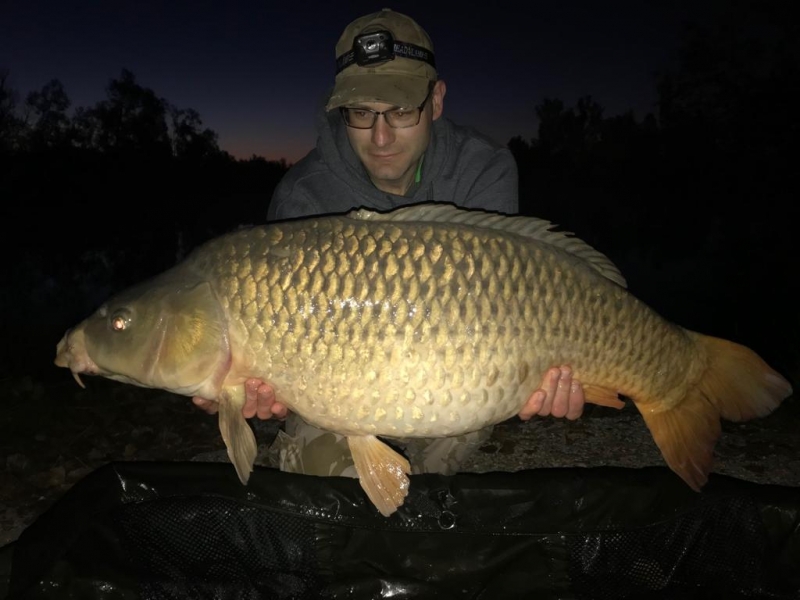 Daniel Wilding 31lb 6oz