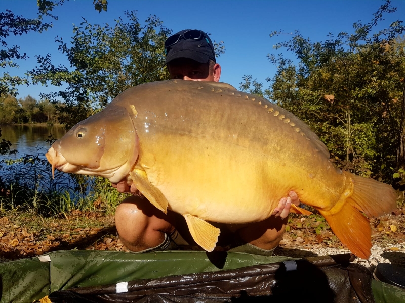 Wyne Gibbson 52lb