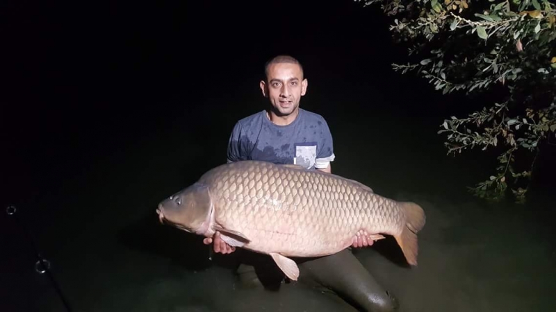 Mo 75lb venus