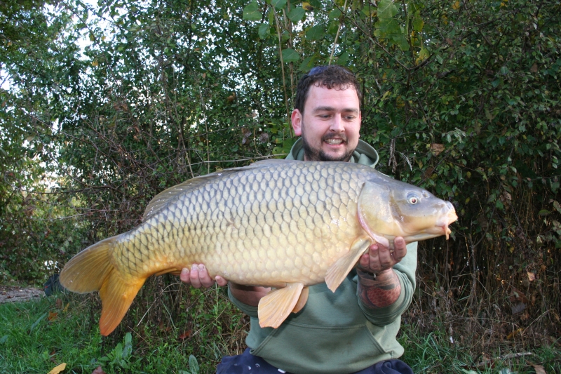 Jacob 36lb common