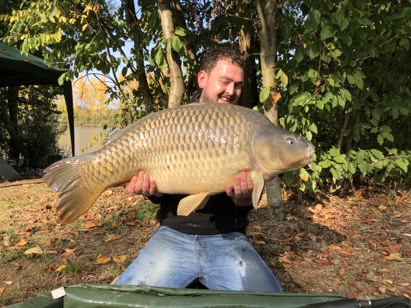 Jacob 44lb common