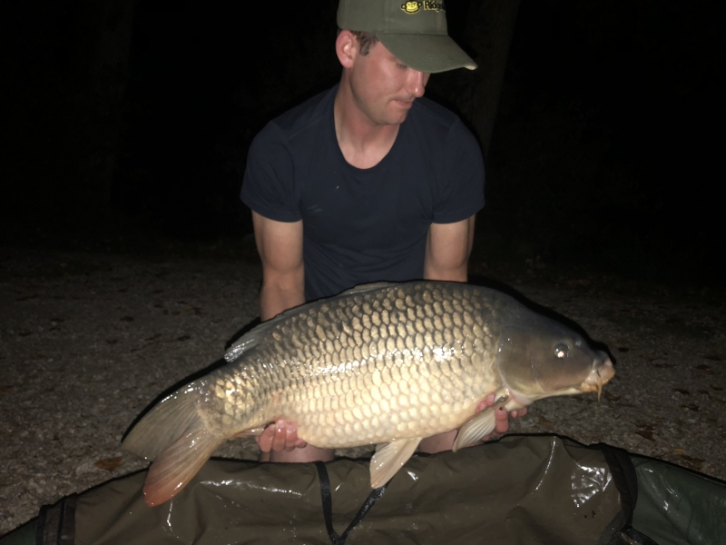 Lee 38lb